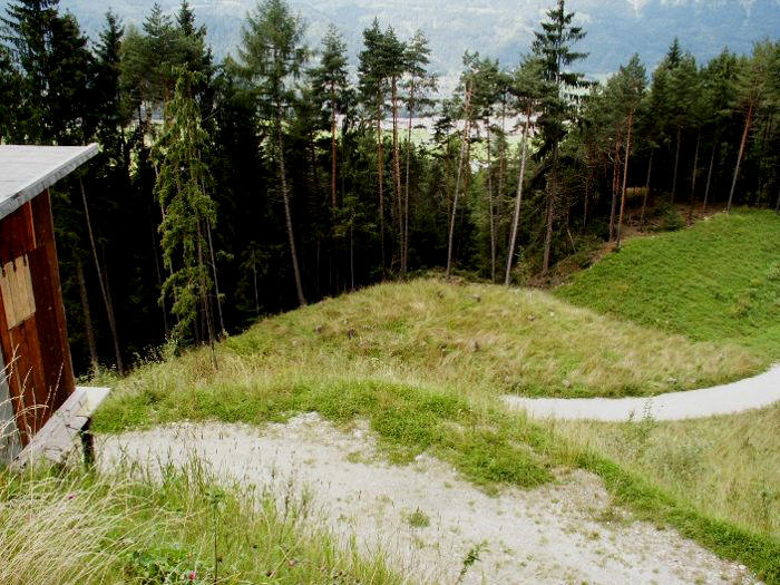 Urzustand_silberwald