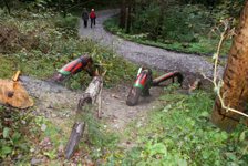 Biennale Natura Suates Art Bernt Pirker, die Füchse