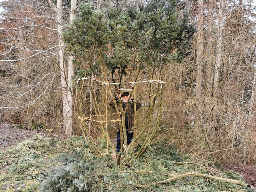 Geschichte Silberwald