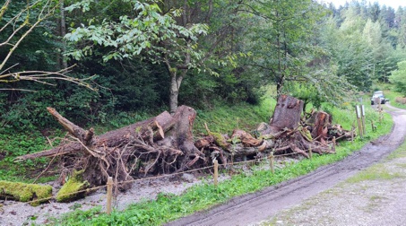 schwazer silberewald