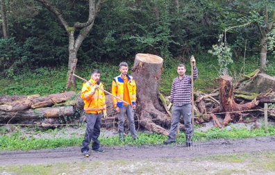 schwazer silberewald