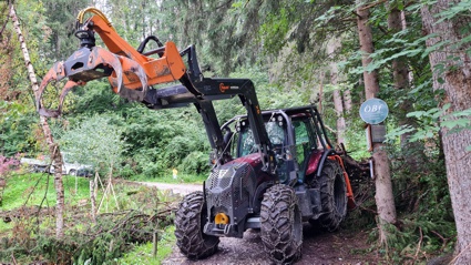 schwazer silberewald