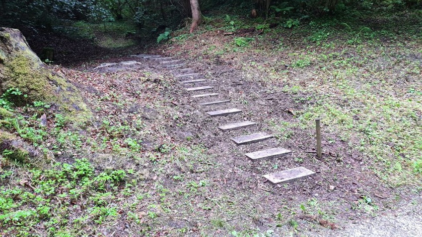 schwazer silberewald