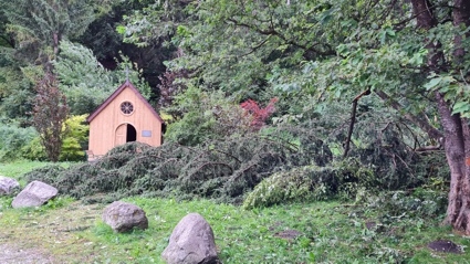 schwazer silberewald