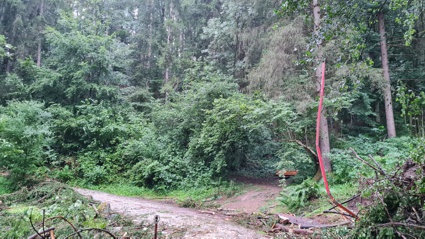 schwazer silberewald