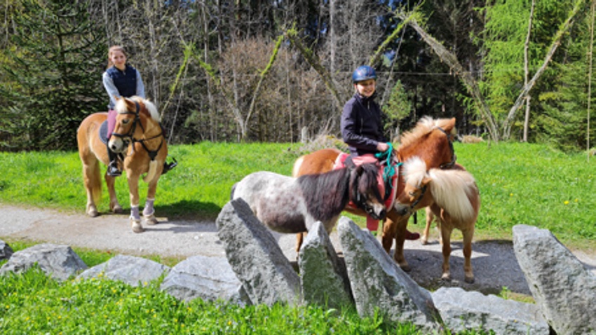 schwazer silberewald